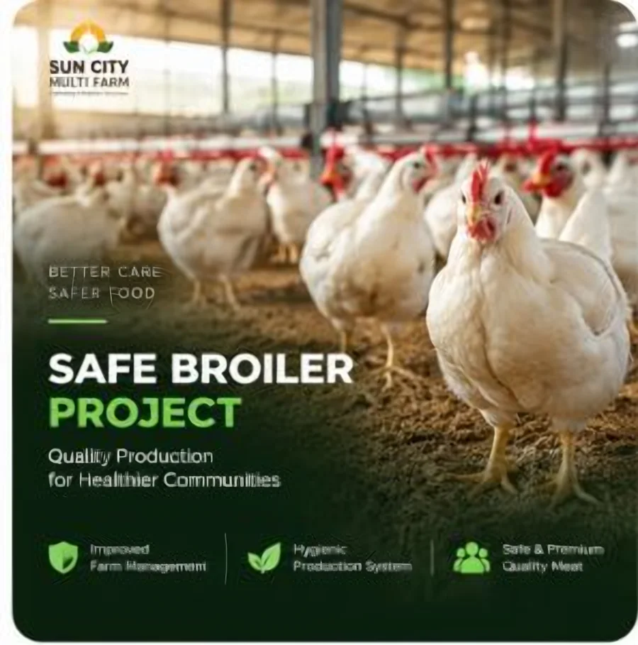 Safe Broiler Project