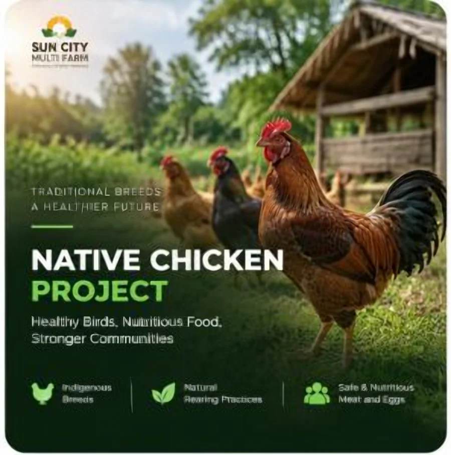 Native Chicken Project